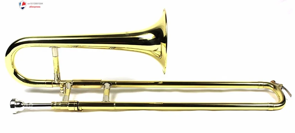 61U+uMpTbQL._SL1500_