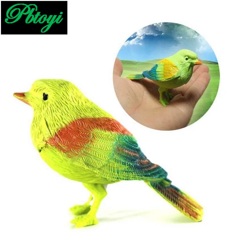 Fantastique Chanson Chant Des Oiseaux Mignon Oiseau Commande