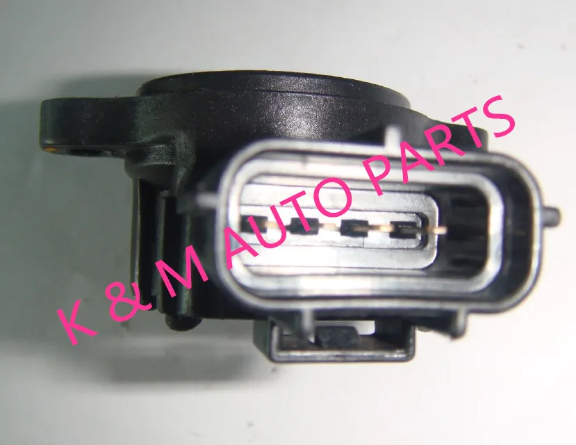 89452-120504_.jpg