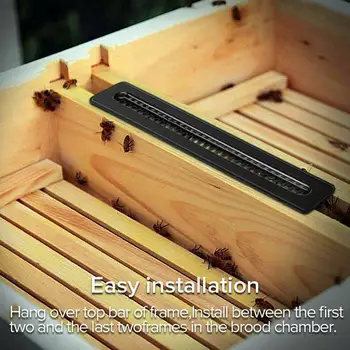 

10pcs Beekeeping Hive Better Beetle Blaster Beetle Trap without Poisons Outdoor Black Beekeeping Equipment Tool Home Garden