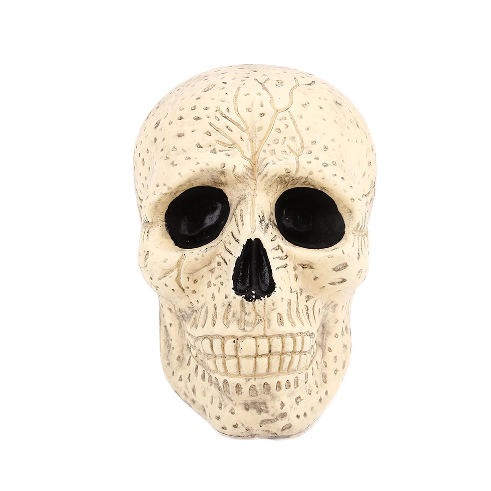 human skeleton head decoration plastic halloween haunted house bar decorchina - Halloween Skeleton Head human skeleton head decoration plastic halloween haunted house bar decorchina - Halloween Skeleton Head