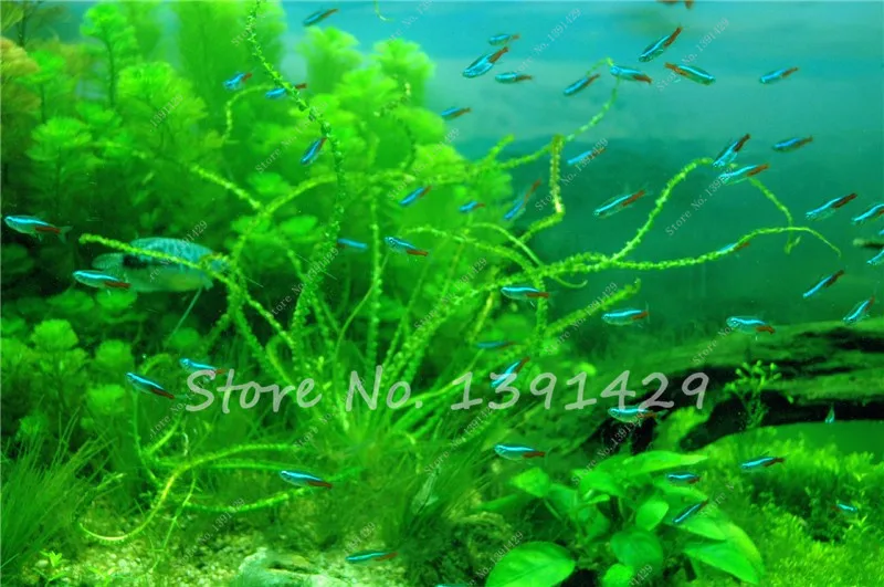 ab164b0028335aac09fa93ac