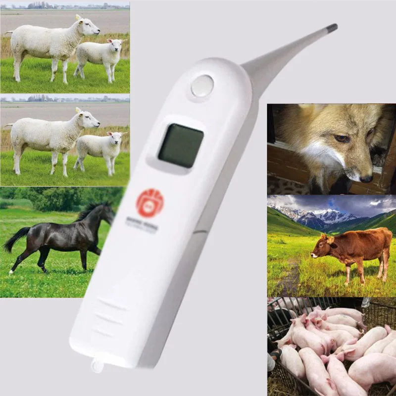 Ветеринарный термометр Pet lcd цифровой анус термометр для собак свиньи, рогатый скот, овцы Индикатор температуры тела быстрого чтения
