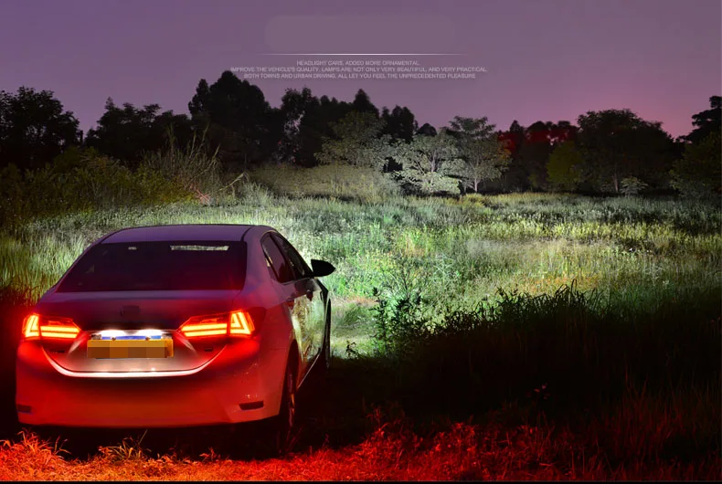Corolladetail13