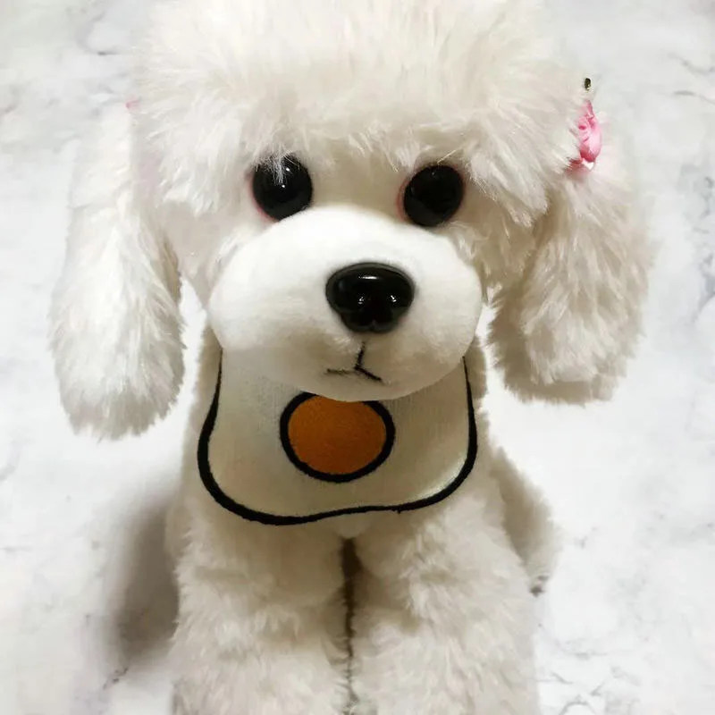 10584578925_2066003639 