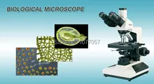 Hot Sale Made in China 40X-1600X Trinocular Biological Microscope BM-L2000A With 1.30M Pixel CMOS Digital Camera