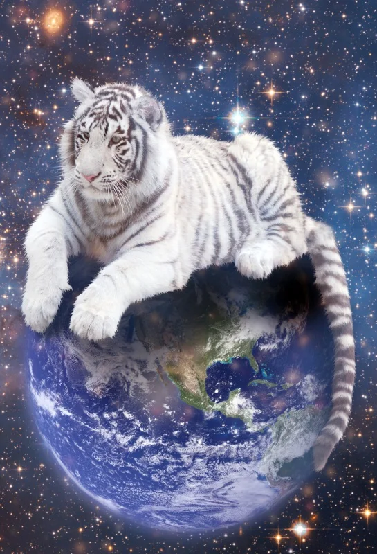 

Laeacco Tiger Planet Nebula Universe Fantasy Baby Photography Backgrounds Customized Photographic Backdrops For Photo Studio