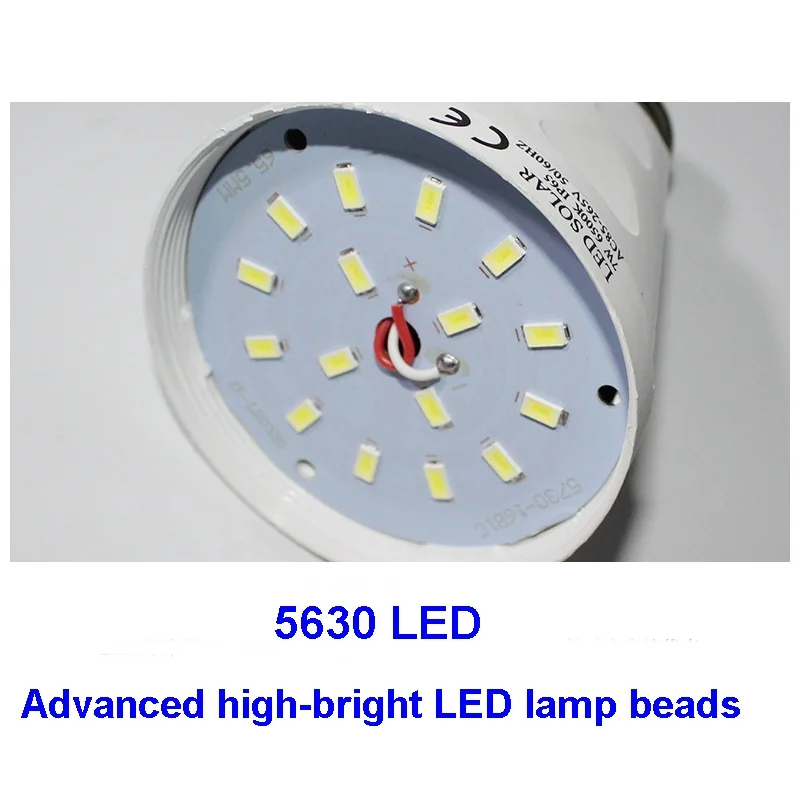 bulb
