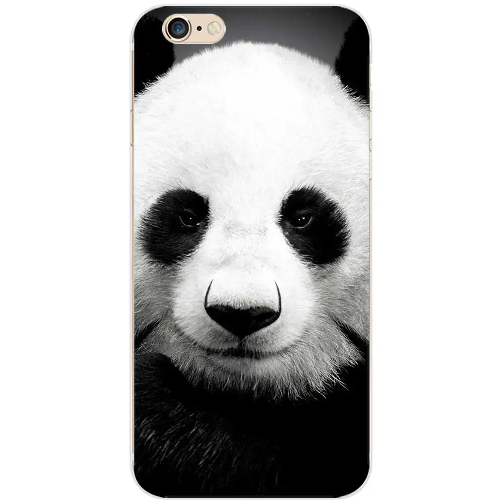 panda26