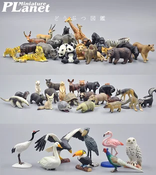 

Japan original genuine wild farm birds sealife animal Toucan Swan chameleon Marmot nutria Panda collectible figures for children