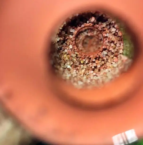 bamboo-ant-nest (4)