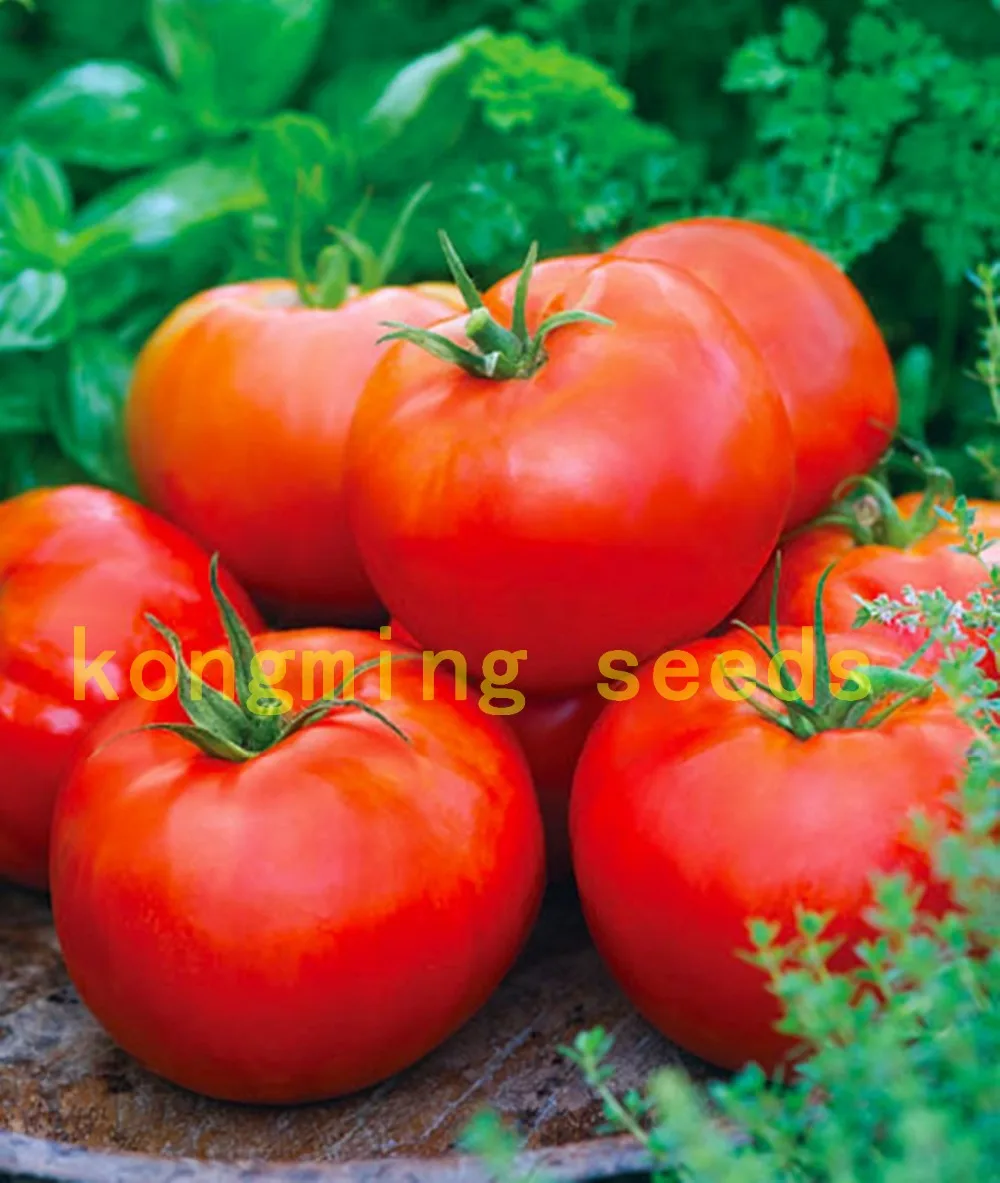 100 pcs/bag bonsai Red Giant Competition Heirloom Tyazeloves Tomato  vegetable for garden