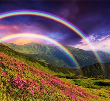 2015 New Rushed 5D DIY Diamant Malerei Kreuzstich Nähen Kunst Diamant Stickerei Landschaft Regenbogen Bild mosaik kit mazayka