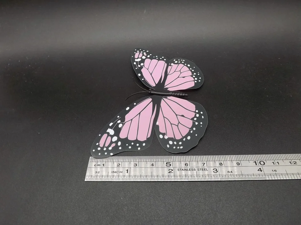 I242-Butterfly (10)