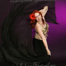 Китайский Шелковый Вуаль для танца живота/принадлежности для танца живота/роскошная шелковая вуаль для танца живота#2222