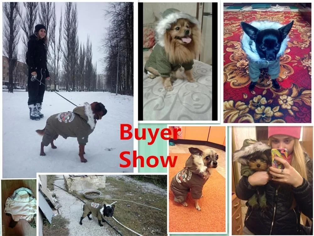 Одежда для собак, зимняя теплая одежда для собак, зеленое пальто, комбинезон, утолщенная Одежда для питомцев, для Йоркшира, плюшевые собаки костюм Одежда для щенков, куртки