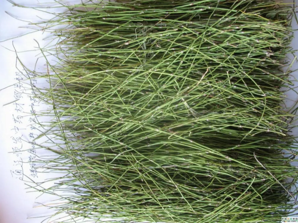 aeProduct.getSubject() aeProduct.getSubject()