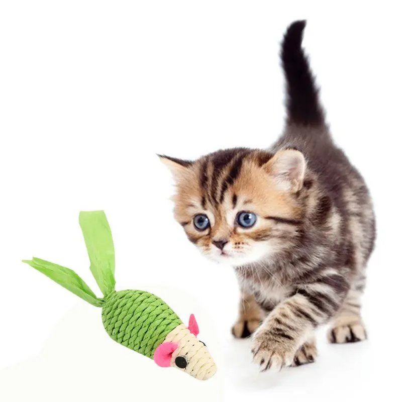 Cat Toy Rope Plush Shake Movement Mouse Pet Kitten Funny Rat Little Interactive Bite | Дом и сад