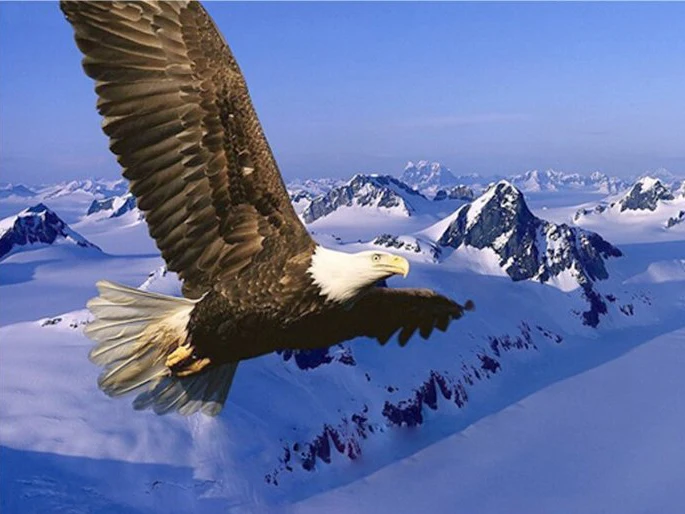 102736759732260 4050s