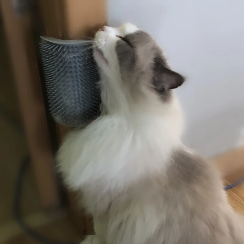 

Cat Grooming Tool Hair Removal Brush Comb for Dogs Cats Hair Shedding Trimming Device with catnip Wall Corner Massage Comb