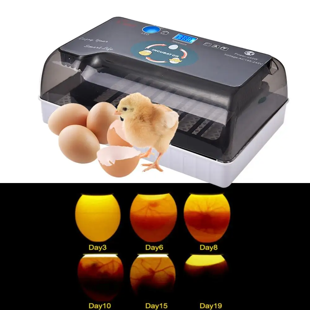 110V/220V Digital Fully Automatic Eggs Incubator Brood Machine Chicken Poultry Quail Duck Bird Turkey Egg Hatcher Brooder Tools4