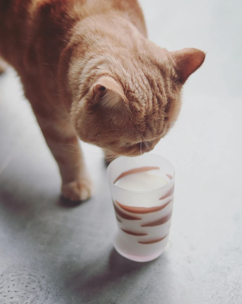 O1CN0124ubYBDY4BxyJ21_!!192067451 (1)