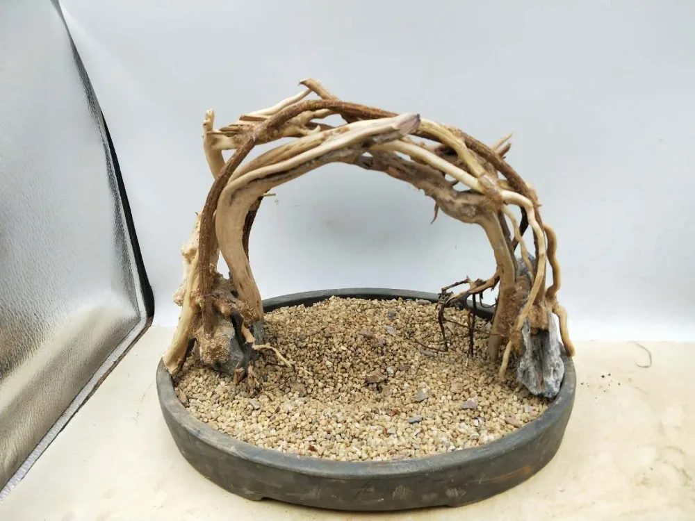 20190424144435