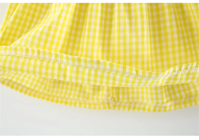 8732182906_2037273339