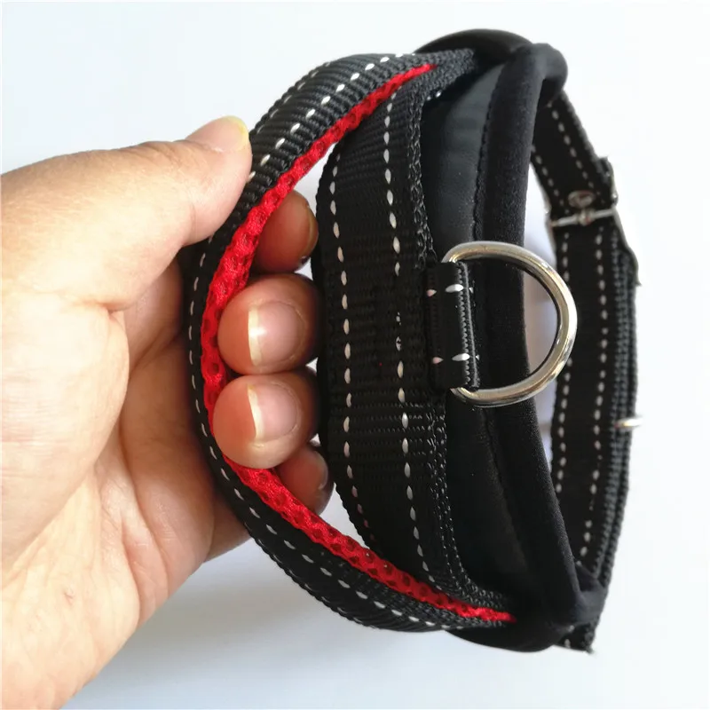 Dog Collar and Leash Set (7)
