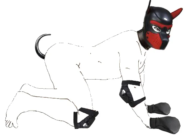 HTB1b38SdBaE3KVjSZLeq6xsSFXaQ