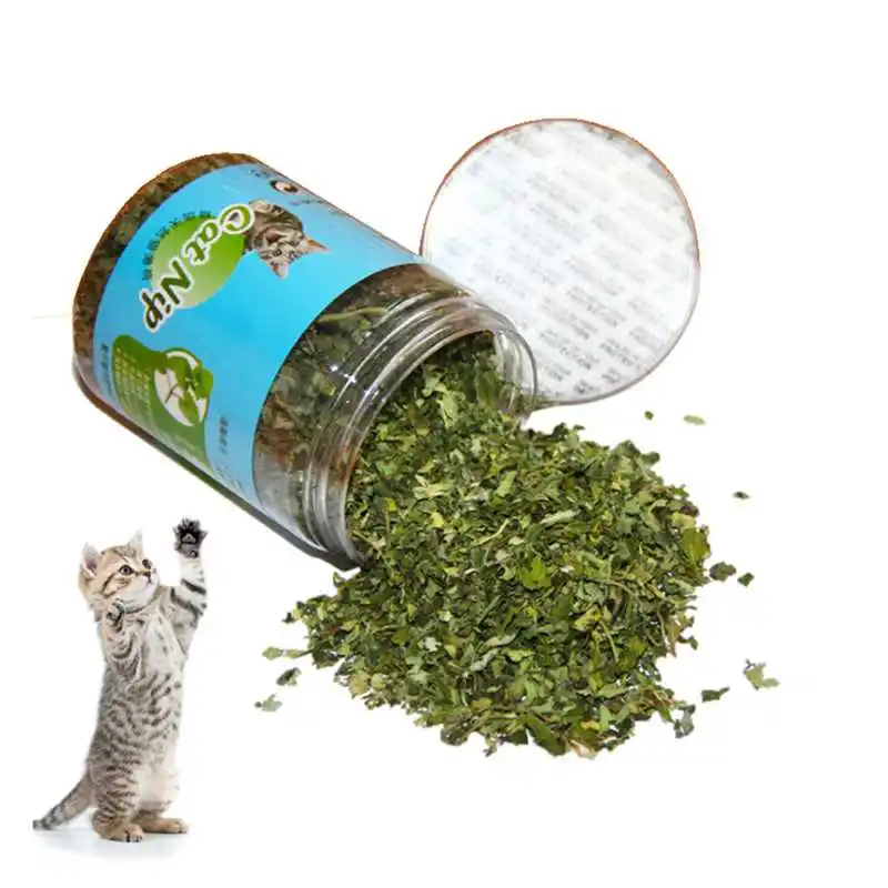 Natural Organic Premium Catnip Powder Training Toys For Kitten Small
