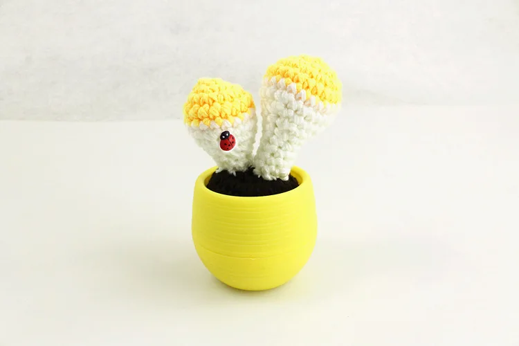 4958221872_827780668