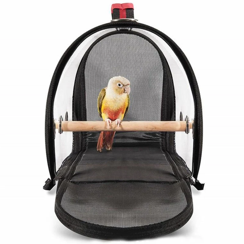 bird accessories shop