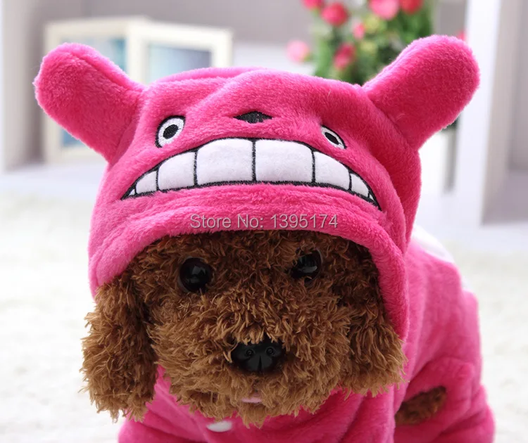 1885002428_1119372358