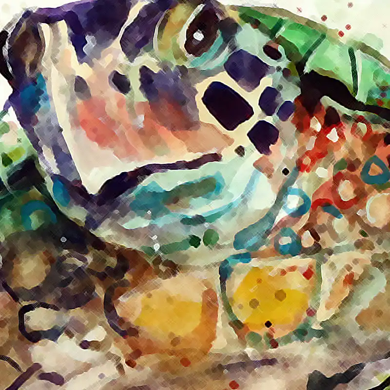 Póster Artístico con estampado de tortuga de mar de acuarela, cuadro  artístico de pared para decoración de habitación de niños, pintura  decorativa para el hogar en lienzo|art pictures|art print posterpicture for  child -