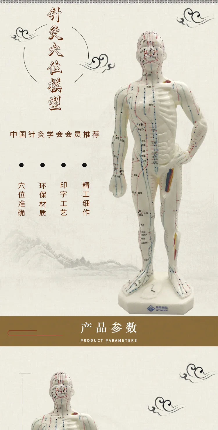 Китайский медицинский человек тела Модель точечной Акупунктуры Меридиан модель акупунктуры точки прижигание модель акупунктуры манекен