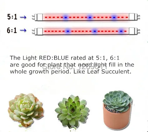 Plant Growth Light Rate-1