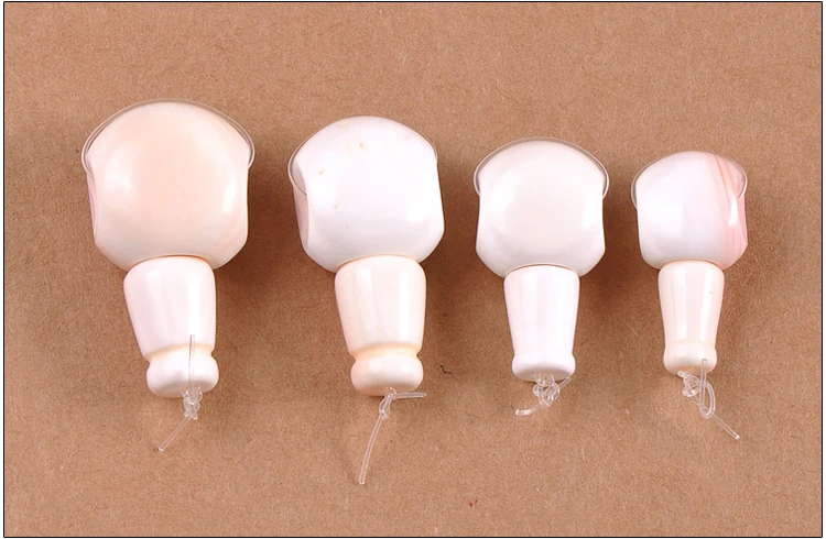 conch-shell-guru005b