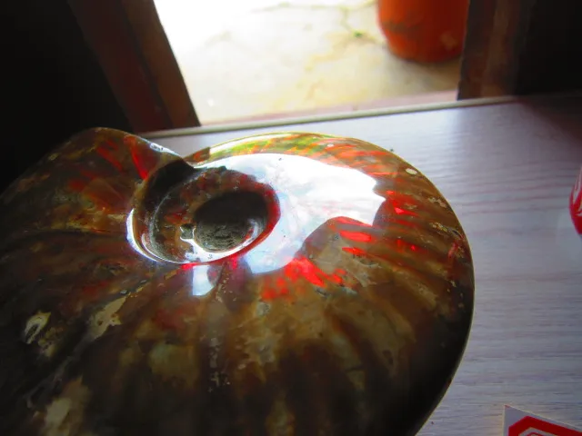 Cheap 1080g(2.37 lb) Iridescent Ammonite Ammolite Specimen Fossil Madagascar DFB064