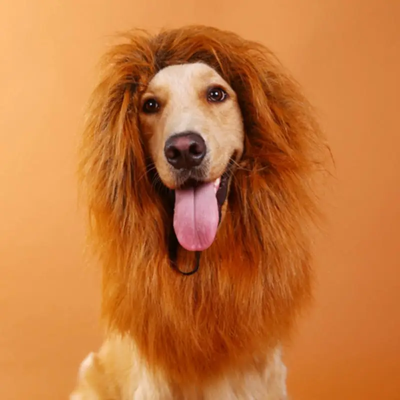 Pet Костюм Собака Lion парики Мане Фестиваль Волос вечернее изящное платье на