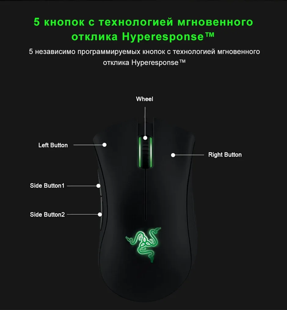 NeoImage_06