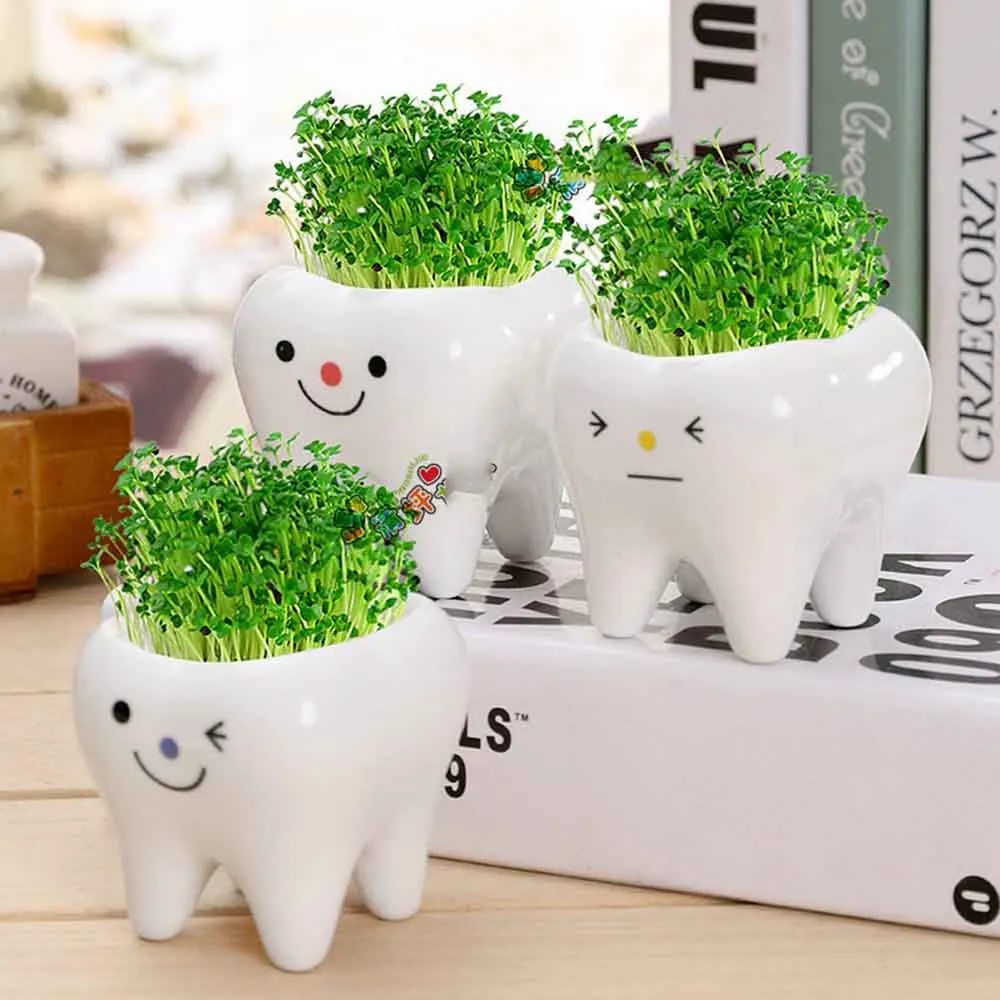 

Cute tooth pot vase creative ceramic cartoon tooth flower pot succulent flower pot home decoration crafts dental clinic gift toy