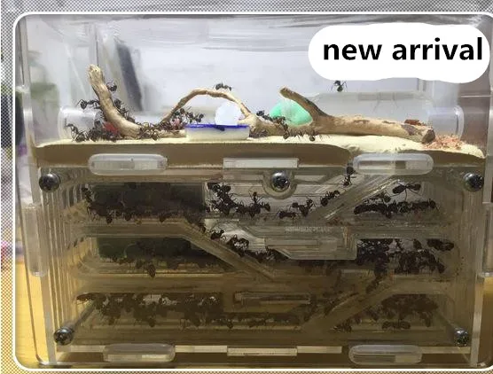 36020180604163717023_