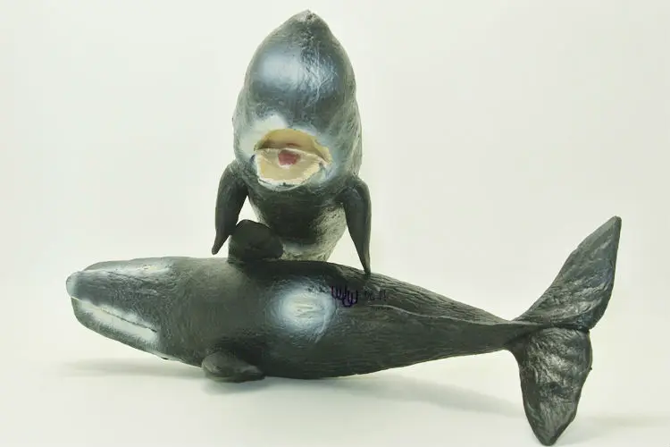 PL127-4125