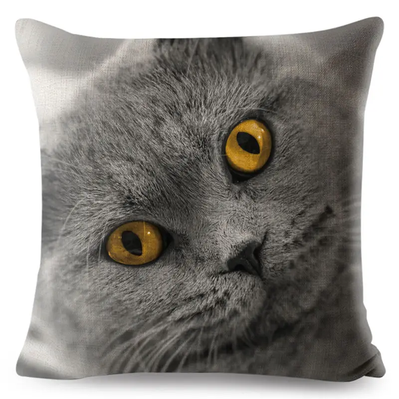 Милый чехол для подушки с изображением животных 3D шотландская висячая кошка наволочки 45*45 см льняной чехол для подушки автомобильный диван домашний декор квадратный чехол для подушки - Цвет: 05