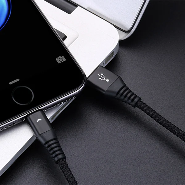 ACCEZZ USB кабель для зарядки и синхронизации освещение для Apple iphone XS XR X 8 7 6 6S 5S Plus для iPad Air 1 2 Дата шнур - Цвет: Черный