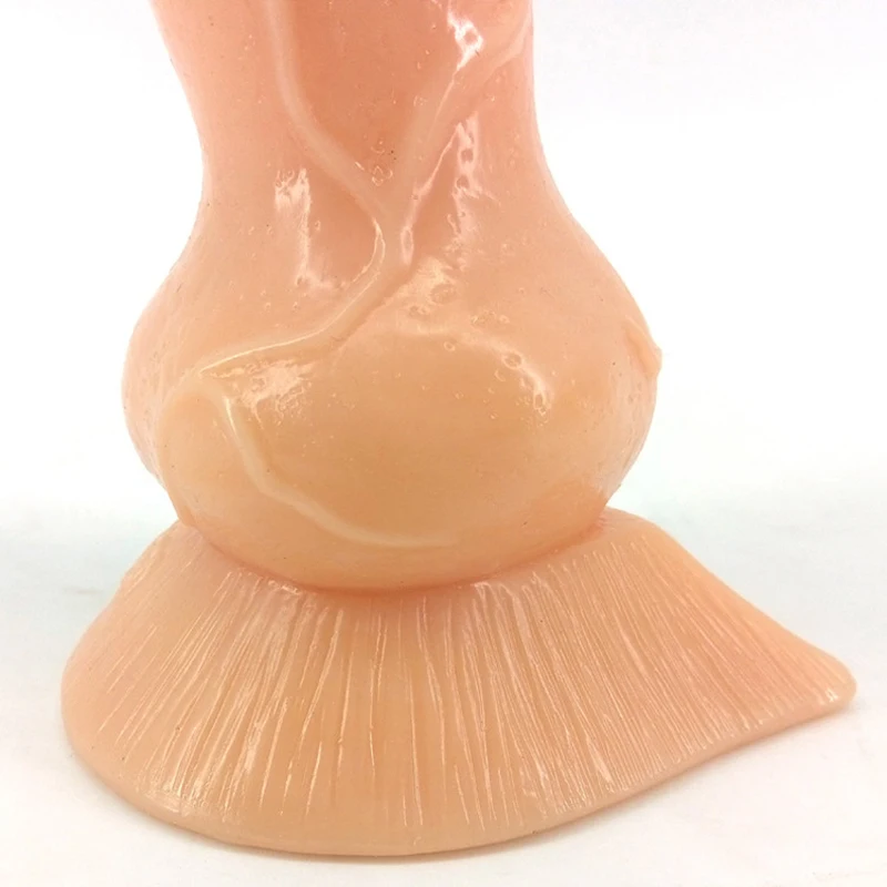 anal plug (15)