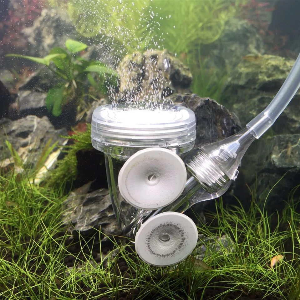 バブルカウンター Co2ディフューザー Ista 3 In 1 コンパクト V 掃除用品 Aliexpress