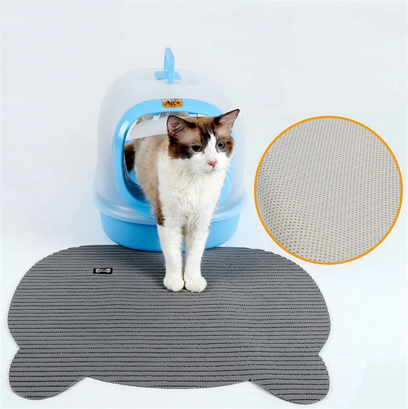 a cats01