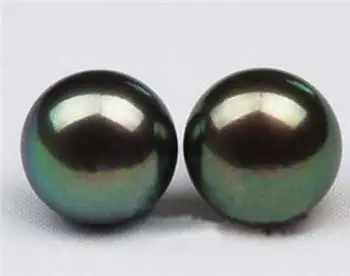 

free shipping > 10mm Tahitian Black Shell Pearl Earring AAA Grade
